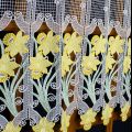 daffodils curtain zoom
