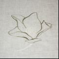 Tableccloth flower zoom