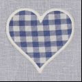 zoom heart blue gingham