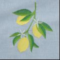 Embroidery lemon zoom