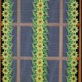 26 inches width sunflower curtain